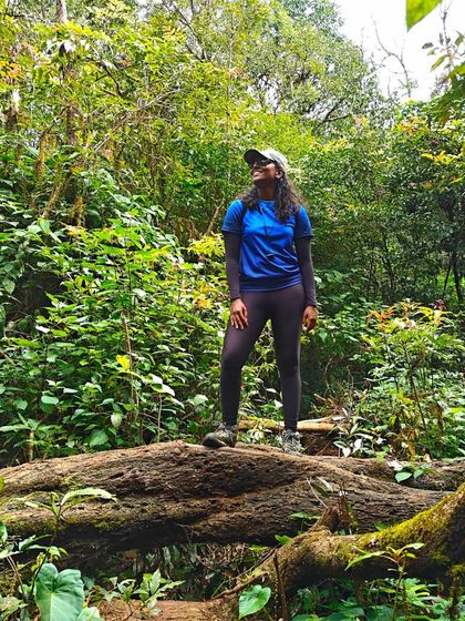 A trekker stands on a fallen log in a dense, green forest, looking up at the canopy. This captures the feeling of being immersed in nature.