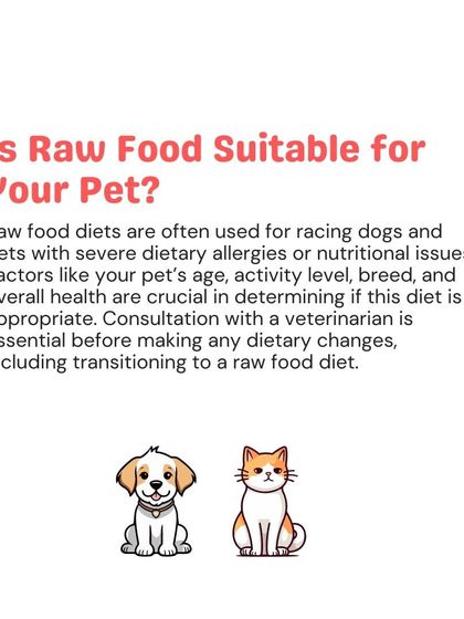 Woofly - Home Veterinary Services Nutrition & Diet Advice photo 4