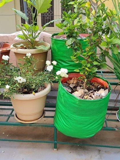 The Garden Hub - Garden Maintenance Garden Stands & Terrace Protection photo 16