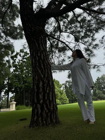 Connecting with the energy of nature. Simply touching a tree can be a grounding practice, reminding us of our connection to the living world and helping to stabilize our own energy.