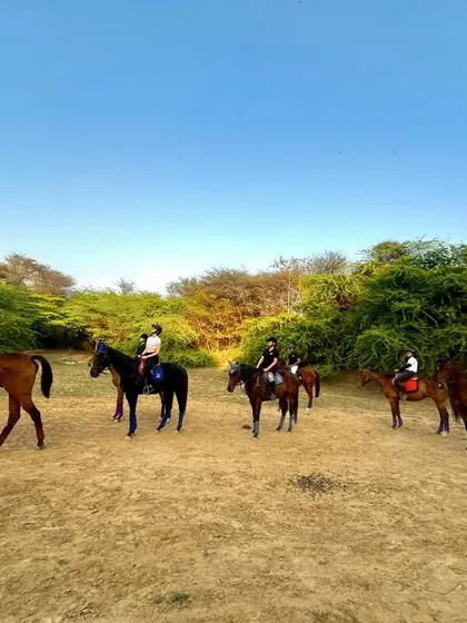 Riders and their handlers make their way across an open field, demonstrating the guided and secure nature of our beginner-friendly trail rides.