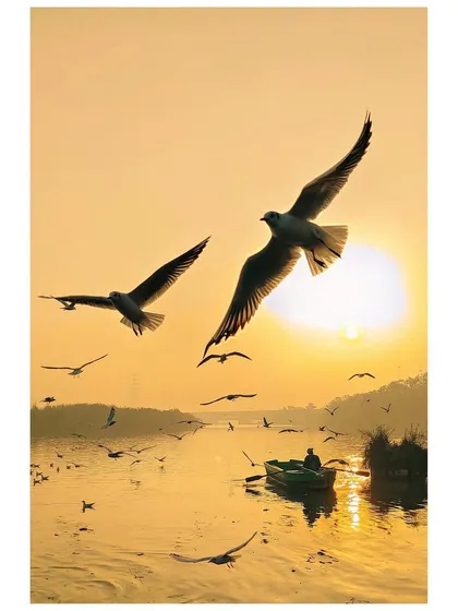 Two seagulls glide gracefully over the Yamuna River as the sun sets, creating a perfect silhouette against the golden sky. This is a moment of pure serenity amidst the city's constant motion.