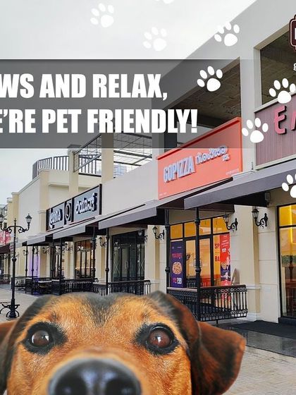 A close-up of a curious dog's face with our storefronts in the background. It's a fun way to say "Paws and relax, we're pet friendly."