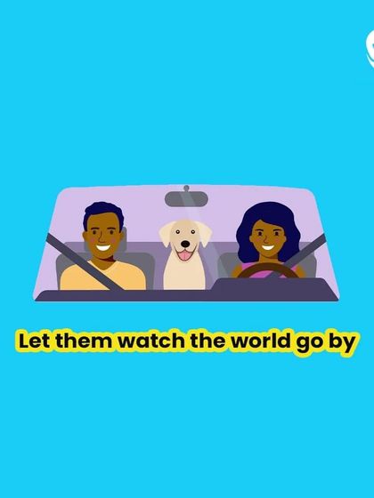 A car ride can be a wonderful experience for a pet. Our service ensures they can safely watch the world go by in a secure and air conditioned vehicle, making the journey part of the fun.