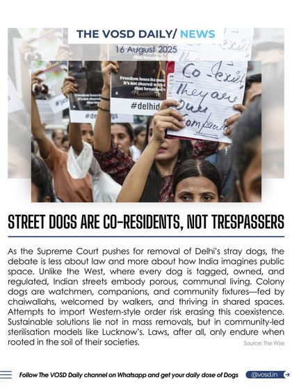 I believe street dogs are co-residents of our communities, not trespassers. As the Supreme Court debates their removal, it's crucial to remember that community-led sterilization is a sustainable solution, not mass relocation.