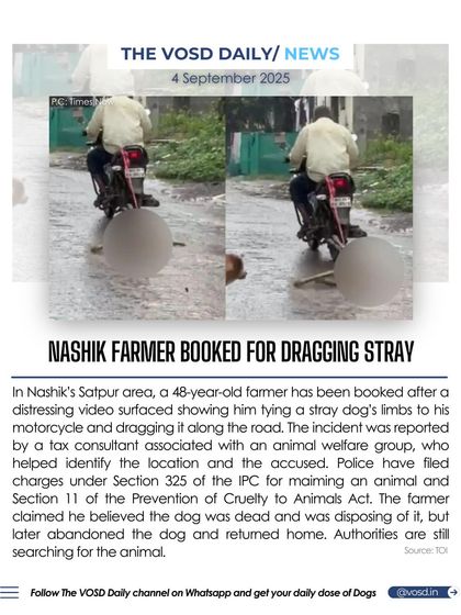 A farmer in Nashik was booked for dragging a stray dog behind his motorcycle. He claimed he thought the dog was already dead. This distressing incident is a clear violation of the Prevention of Cruelty to Animals Act.