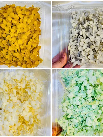 We offer a variety of subtle and earthy tones in our dried hydrangea collection. This image showcases our yellow, grey, off-white, and light green flowers.