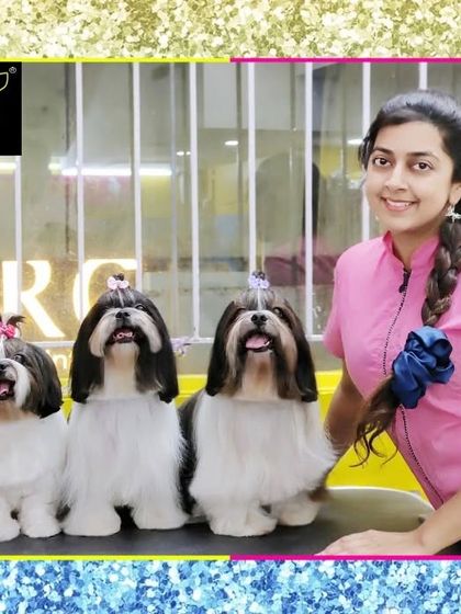 Fuzzy Wuzzy - Pet Grooming & Spa Shih Tzu, Maltese & Poodle Styles photo 35