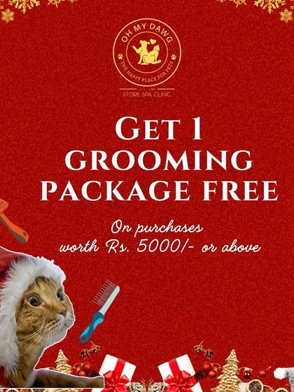 Oh My Dawg - Pet Grooming Services Save on Spa Days: Offers & Memberships photo 7