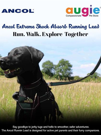 Augie Pets - Pet Supplies Adventure-Ready Gear for Every Outing photo 10