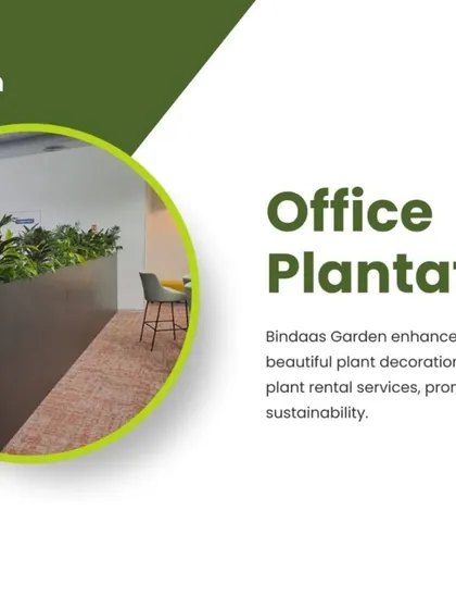 My office plantation services are an all-in-one solution. I handle everything from design and plant selection to installation and ongoing care, including plant rentals.
