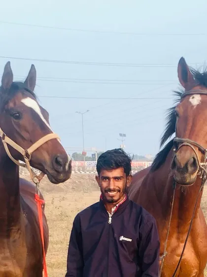 Meet one of our dedicated instructors with our calm and well trained horses. We are passionate about sharing the art of horsemanship and guiding you on your journey.