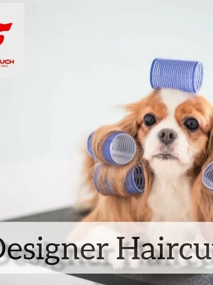 Want a designer haircut for your dog? I can create stylish looks that will make your pet the talk of the town, all while they relax at home.