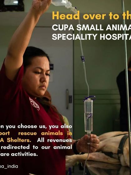 Cupa - Veterinary Hospital & Pet Grooming Complete Care Under One Roof photo 3