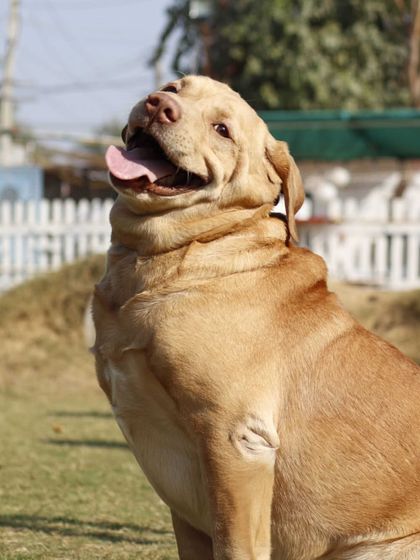 This happy boy is enjoying the sunshine during one of our outdoor events. Every day is a celebration here.
