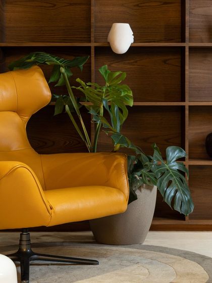 A slightly different crop of the lounge area, focusing on the rich texture of the wooden shelving unit and the vibrant Monstera plant, which adds a touch of tropical life to the interior.