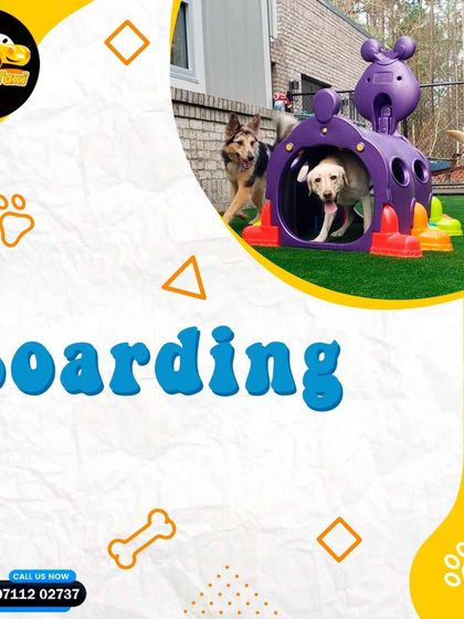 Dropping off or picking up from a boarding facility? I offer reliable and timely pet taxi services across Delhi NCR.