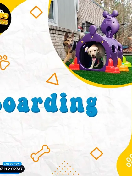 Dropping off or picking up from a boarding facility? I offer reliable and timely pet taxi services across Delhi NCR.