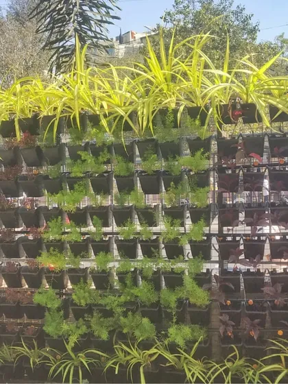 A close-up of the vertical garden panels, showing how different plant varieties are used to create distinct blocks of color and texture.