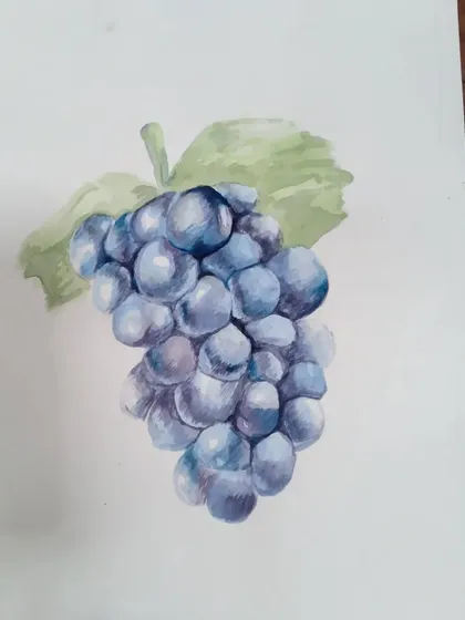 A realistic study of grapes painted by Anaya, a 9th standard student. She used watercolors on paper to capture the subtle variations in color and the translucent quality of the fruit.