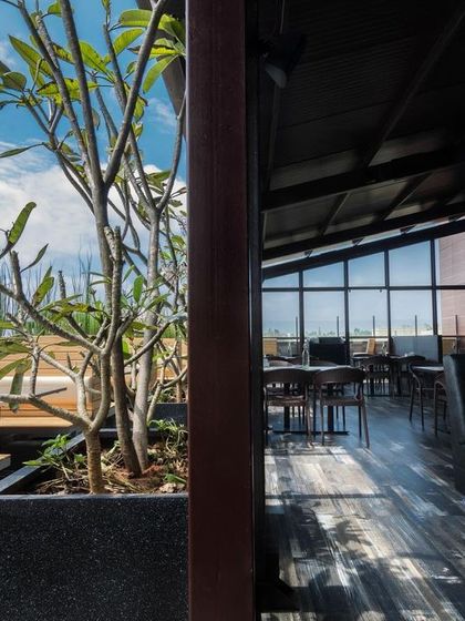 A rooftop space that combines open-air seating with a covered dining area. The inclusion of large potted trees helps to soften the urban environment and create a more natural feel.