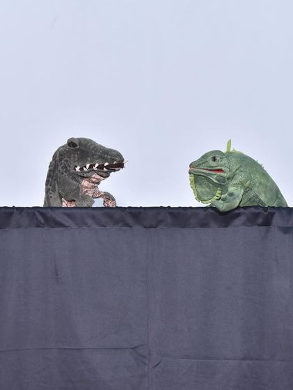 Bringing Stories to Life in the Classroom photo 48