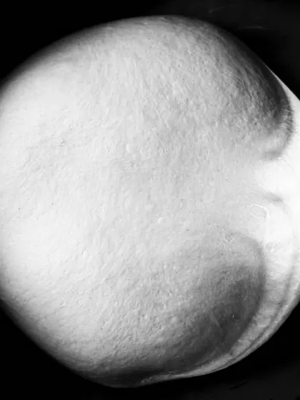 A black and white, artistic shot of raw pizza dough. This abstract image focuses on form and texture, telling the story of the food's origin.