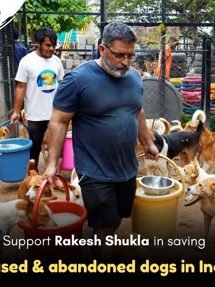 Our founder Rakesh Shukla in the midst of feeding time. Your support through platforms like Donatekart helps him and our team save more abused and abandoned dogs in India.