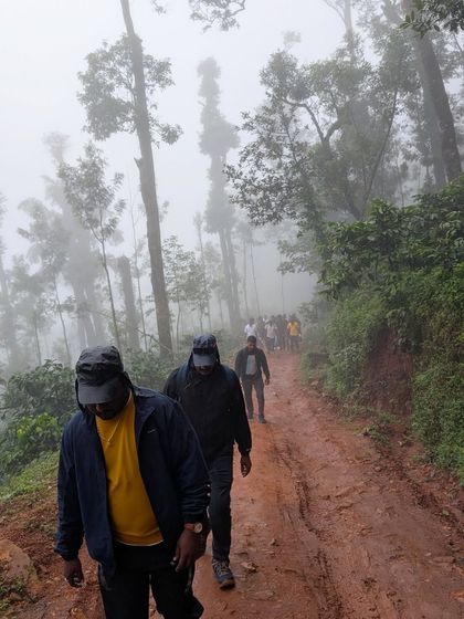 Trekkers navigating a muddy, atmospheric forest path on the way to Nethravathi. The tall, fog-shrouded trees create a sense of mystery and adventure.