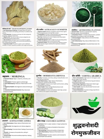 My herbal library is extensive, featuring everything from Moringa for its nutrient density to Boerhavia Diffusa for detoxification. I believe in using nature's pharmacy to help your body heal and find balance naturally.