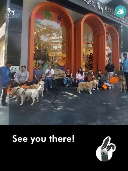 The Pack - Pet-Friendly Adventures & Meetups City Meetups & Doggie Picnics photo 15