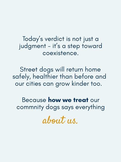 Cupa - Animal Cruelty Legal Aid & Advocacy Our Legal Fight for Animals photo 23