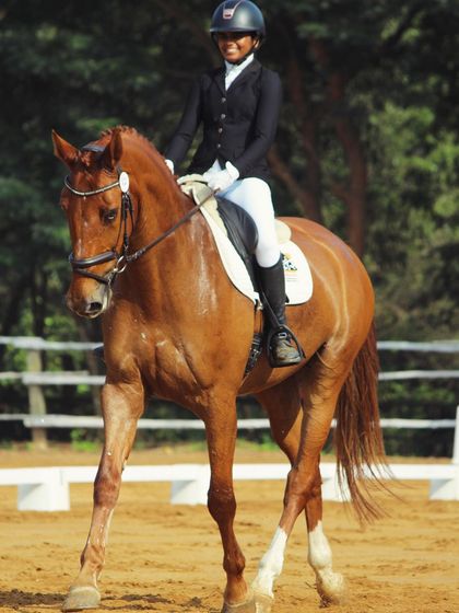 Celebrating a major achievement for my rider Navyashree, who placed first in the entire Zone 9 of the FEI World Dressage Challenge. I am incredibly proud and eagerly await the final world rankings.