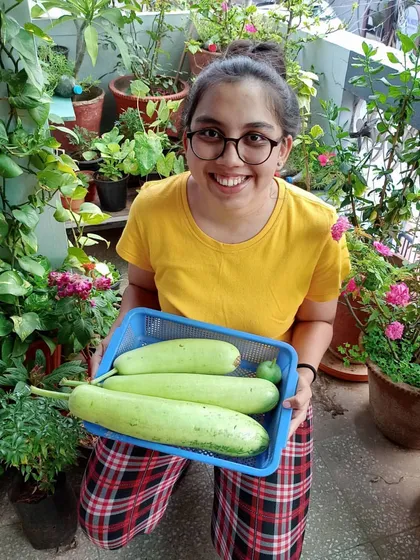 A happy smile and a basket of bottle gourds (lauki) from my terrace. These climbers are easy to grow and incredibly productive, giving you plenty of vegetables for your kitchen.