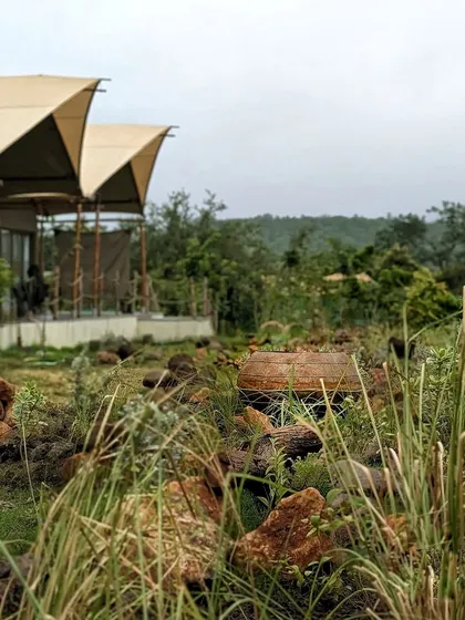 When landscaping a resort next to a Tiger Reserve, the goal is to blend in. We used a thoughtful, layered, and wild design that feels like it was always meant to be there, respecting the natural beauty of the Tipeshwar Wildlife Sanctuary.