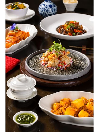 A collection of appetizers for the Shang Palace menu, showcasing a variety of textures and flavors.