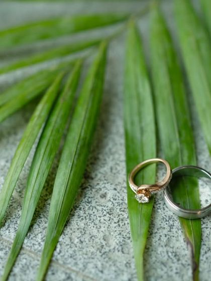 The wedding rings, captured in a natural setting on a palm leaf, symbolizing a fresh and organic start to a new life.
