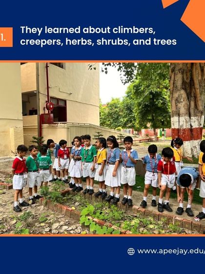During their nature walk, students learned to identify climbers, creepers, herbs, shrubs, and trees. This hands-on discovery session made their environmental science lesson come alive.
