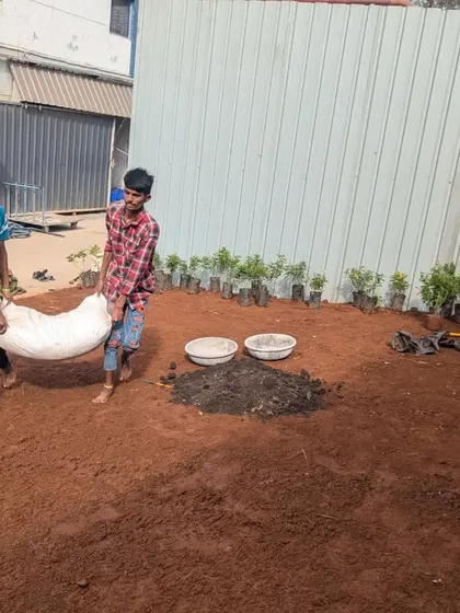 Teamwork makes the job faster. Two workers carry a heavy bag of compost to be mixed into the soil.