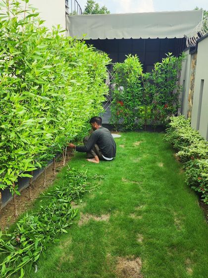 Delhi Gardner - Full-Service Landscaping Our Process: From Concept to Creation photo 20