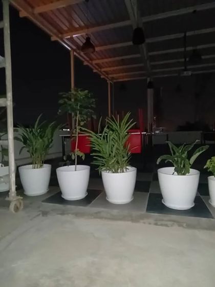 Even a simple arrangement of potted plants can transform a terrace. Here, we've lined up several large white pots to create a clean and modern green border for this rooftop space.