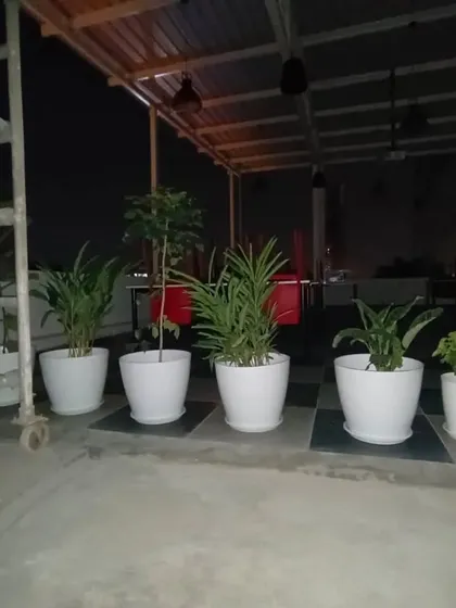 Even a simple arrangement of potted plants can transform a terrace. Here, we've lined up several large white pots to create a clean and modern green border for this rooftop space.