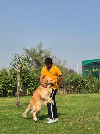 A happy hug from a Golden Retriever. This is why we do what we do.