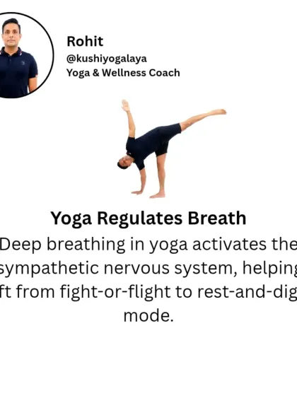 Rohit N - Yoga for Fitness and Wellness Find Calm: Yoga for Stress & Mental Wellness photo 13