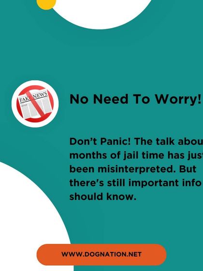 DogNation - Dog Training & Behavior Dog Care & Wellness Guides photo 20