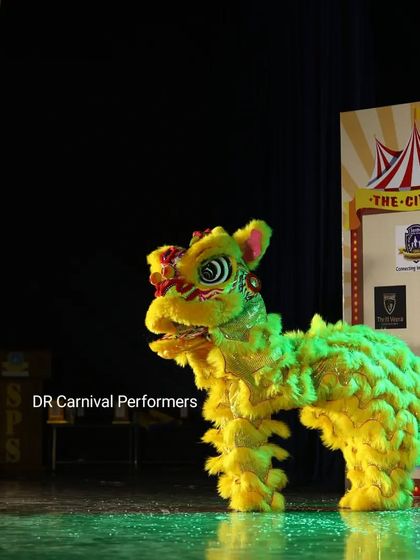 Our yellow and green Chinese Lion poses on stage at a circus themed event. This performance is incredibly versatile and adds a burst of color and excitement to any kind of show.