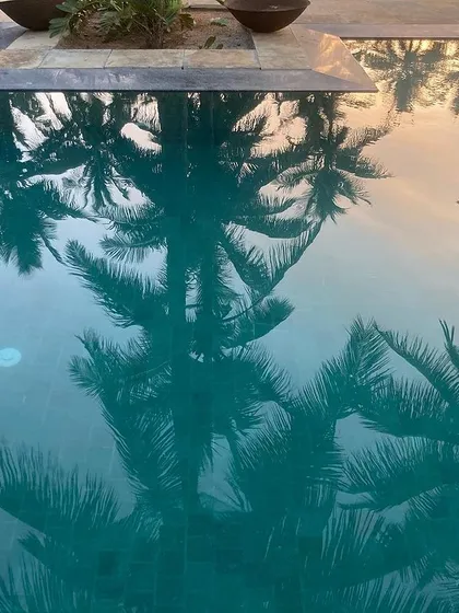 The reflection of palm trees at sunset in the Hassan farmhouse pool, a moment of pure tropical bliss.