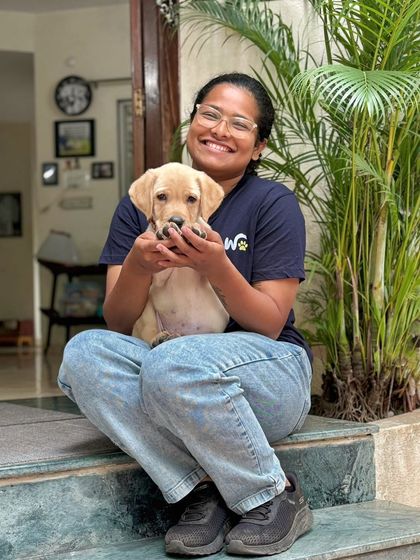 Look at this adorable Labrador puppy! Early handling and positive experiences are so important for building a foundation of trust. My sessions focus on making every interaction a happy and safe one.
