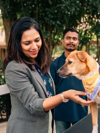 We even offer on-site grooming services during our special pet events. Here, a guest interacts with a dog available for adoption, showcasing our commitment to animal welfare.