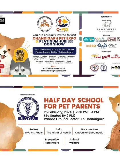 A closer look at the 'Half Day School for Pet Parents' event. We believe that informed owners are the foundation of a happy and healthy pet community, and these sessions are designed to empower them with practical knowledge.